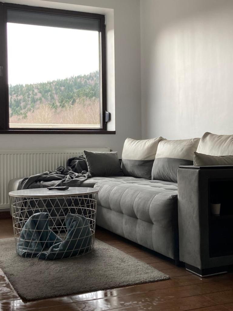 Apartment Relax View Ap With Private Parking Sinaia